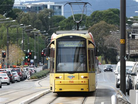North Terrace Tram .